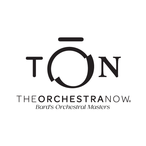 TON logo