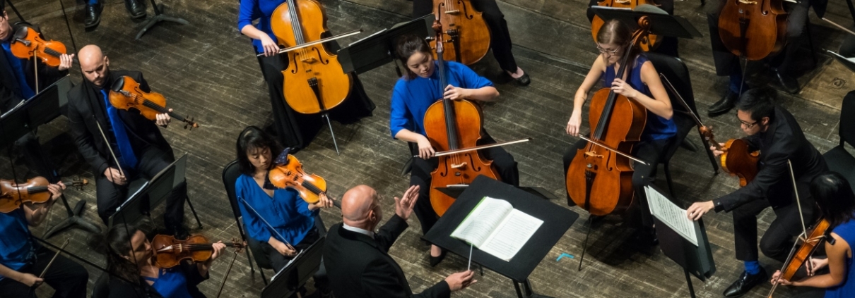 Musicians Playing